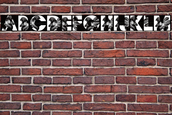 FLORALPERSONALUSE-Bold Example 2