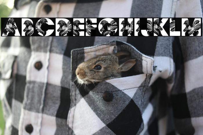 FLORALPERSONALUSE-Bold Example 3