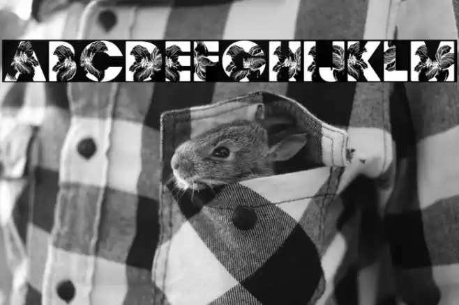 FLORALPERSONALUSE-Bold Font examples