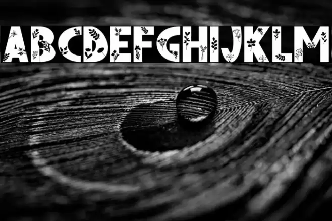 FLORENA Font examples