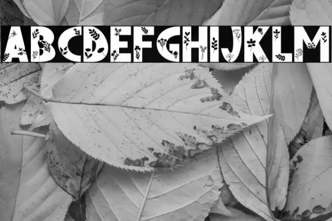 FLORENA Font examples