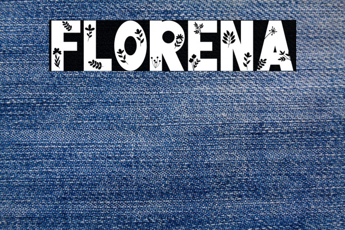 FLORENA Example 1