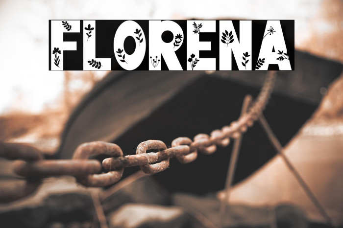 FLORENA Example 2