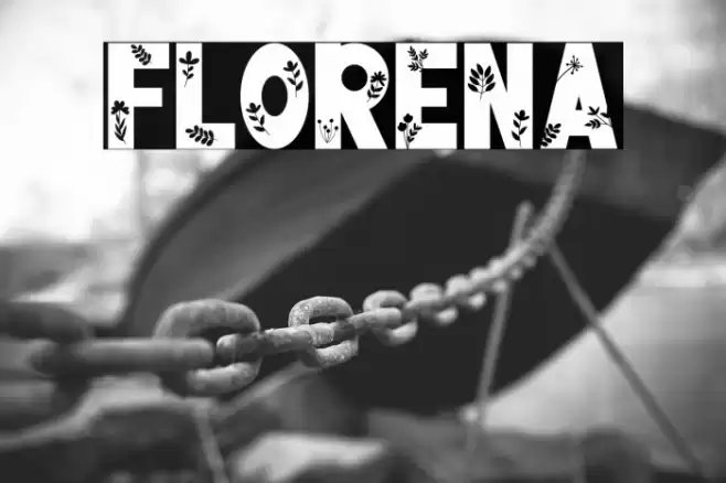 FLORENA Fuentes examples