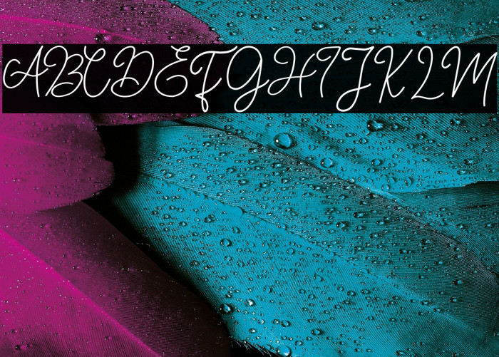 FLORIDA DEMO Example 1