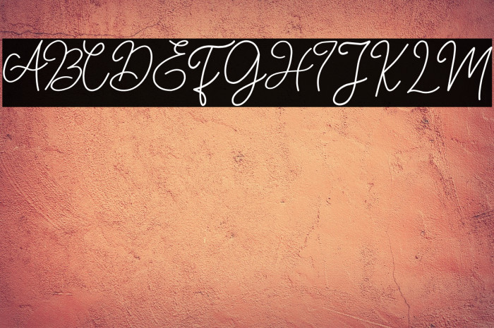 FLORIDA DEMO Example 2