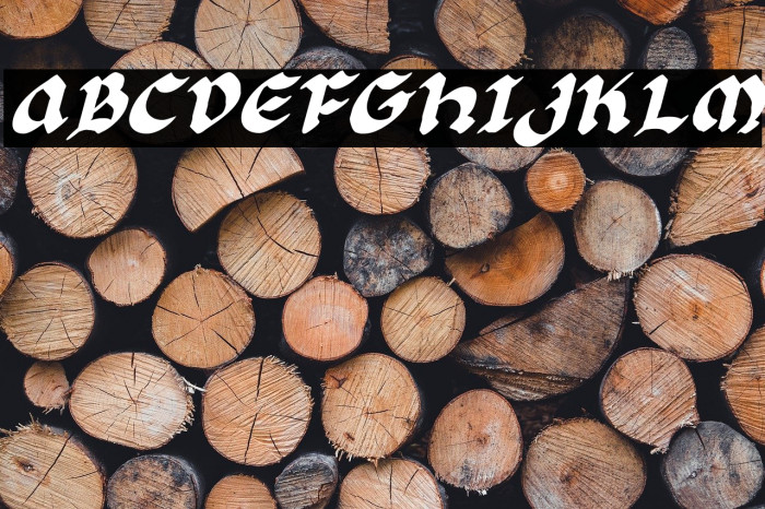 FLORLI خط examples