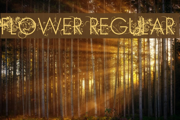 FLOWER Regular Example 1