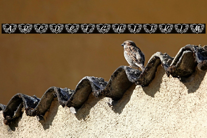 FLOWERHEARTPERSONALUSE-Regular Example 2