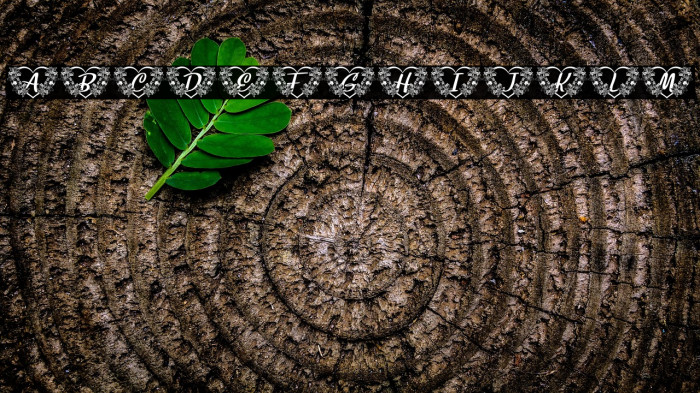 FLOWERHEARTPERSONALUSE-Regular Example 3