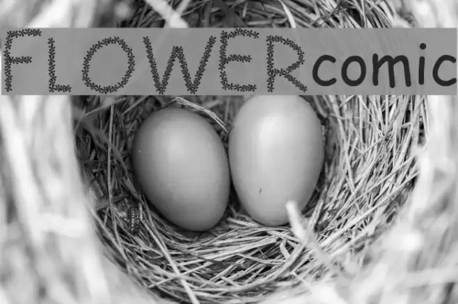 FLOWERcomic Font examples