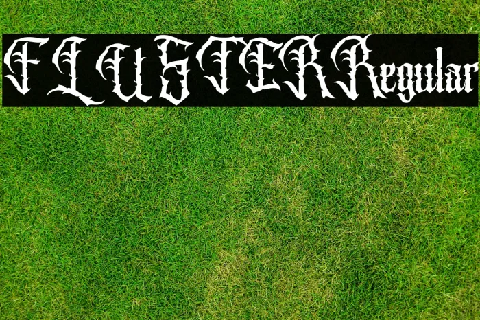 FLUSTER Regular Example 3