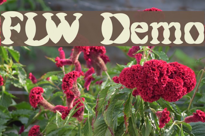 FLW Demo Font examples