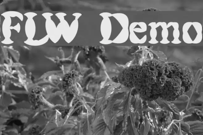 FLW Demo Font examples