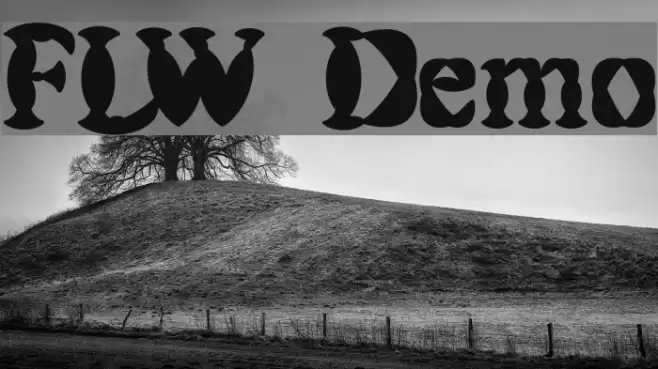 FLW Demo Font examples