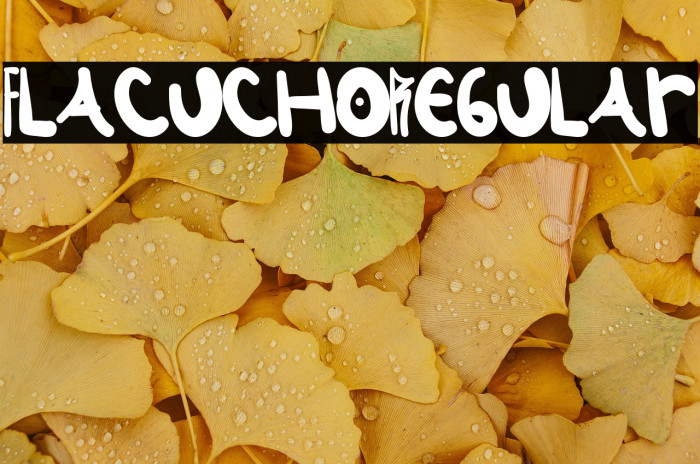 Flacucho-Regular Example 1