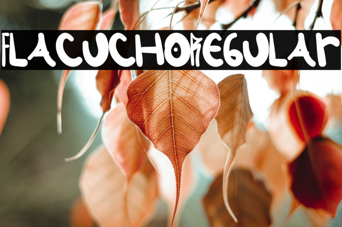 Flacucho-Regular Example 2