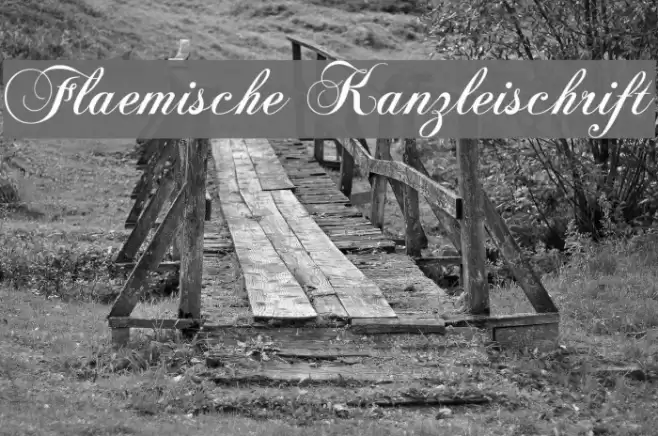 Flaemische Kanzleischrift Font examples