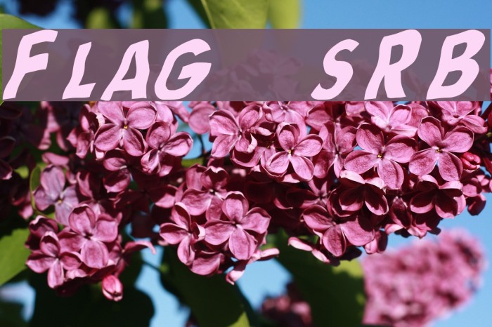 Flag [sRB] Example 2