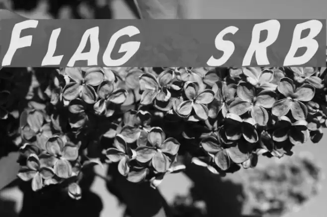 Flag [sRB] Font examples