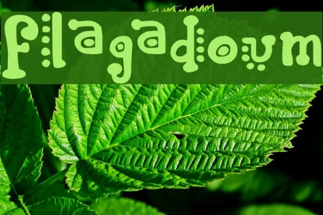 Flagadoum Example 1