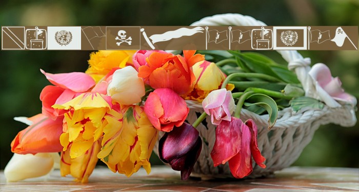 FlagsToolbox Example 3