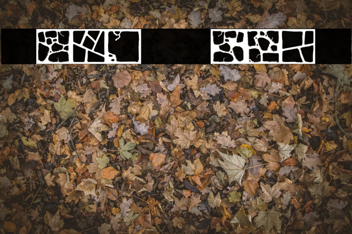 Flagstones Example 2