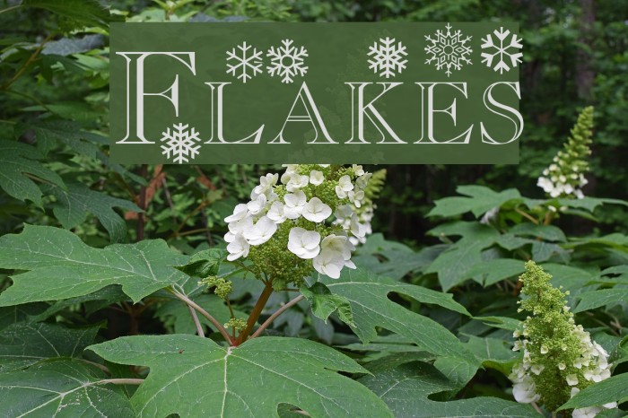 Flakes Font examples