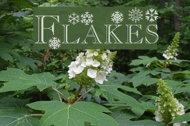 Flakes Example 1
