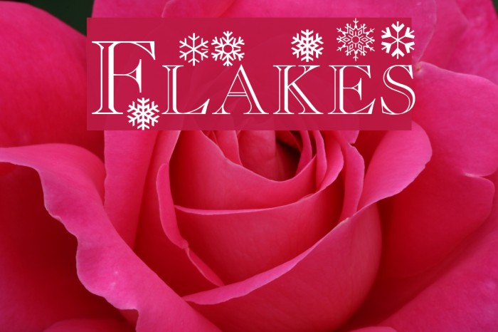 Flakes Font examples