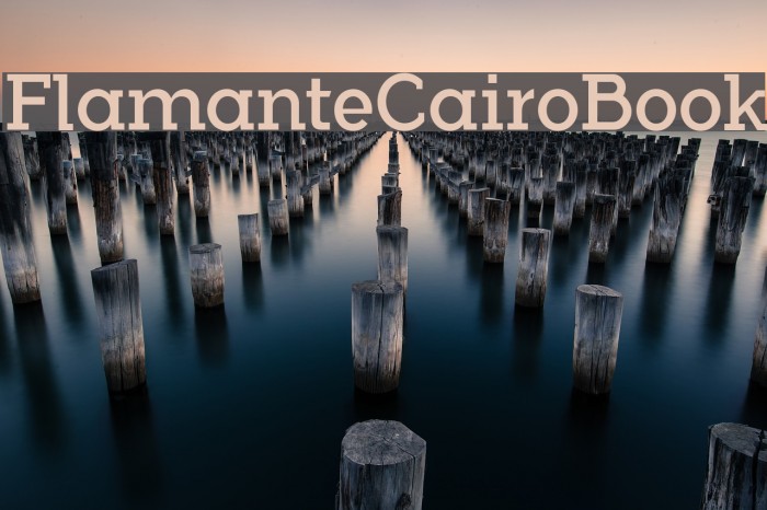 FlamanteCairoBook Font examples