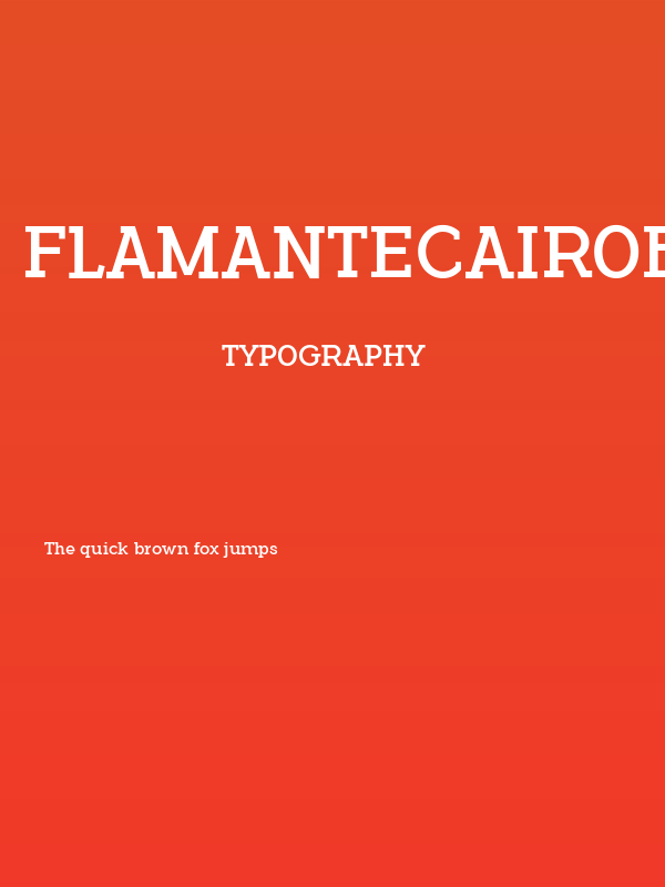 FlamanteCairoBook Poster