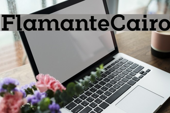 FlamanteCairo Font examples