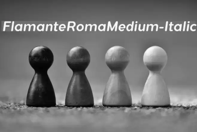 FlamanteRomaMedium-Italic Font examples