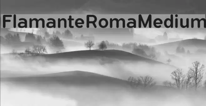 FlamanteRomaMedium Font examples