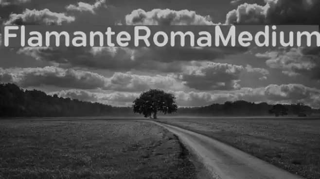 FlamanteRomaMedium Font examples