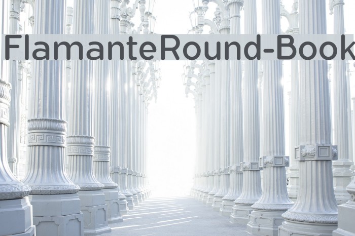 FlamanteRound-Book Font examples