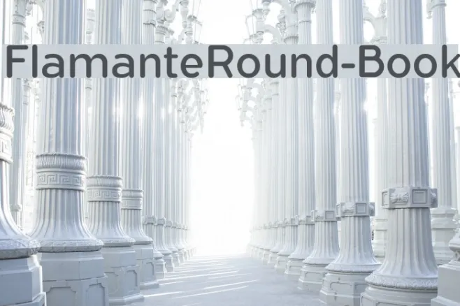 FlamanteRound-Book Example 1