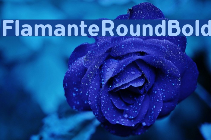 FlamanteRoundBold Font examples