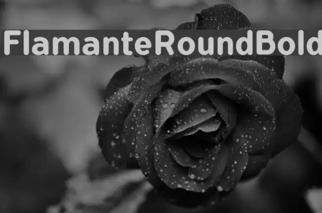 FlamanteRoundBold Шрифта examples