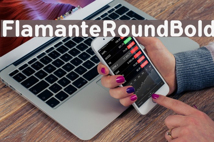 FlamanteRoundBold Font examples