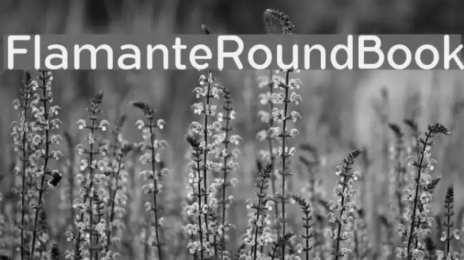 FlamanteRoundBook Font examples