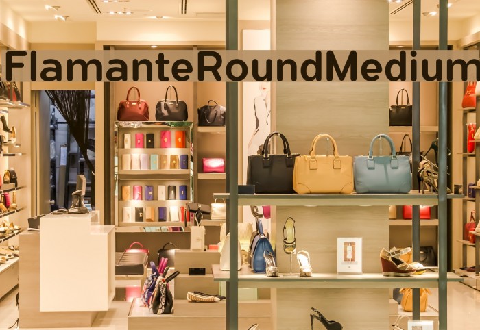 FlamanteRoundMedium Font examples