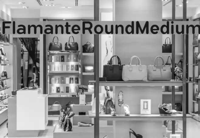 FlamanteRoundMedium Font examples
