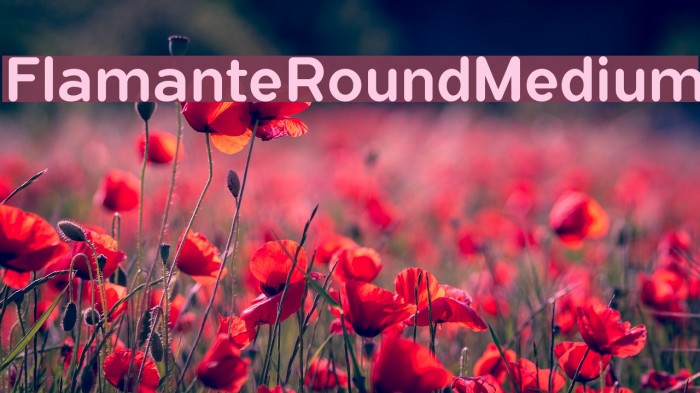 FlamanteRoundMedium Font examples
