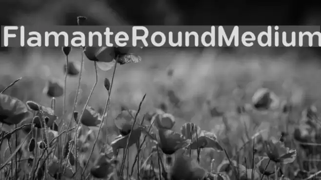 FlamanteRoundMedium Font examples