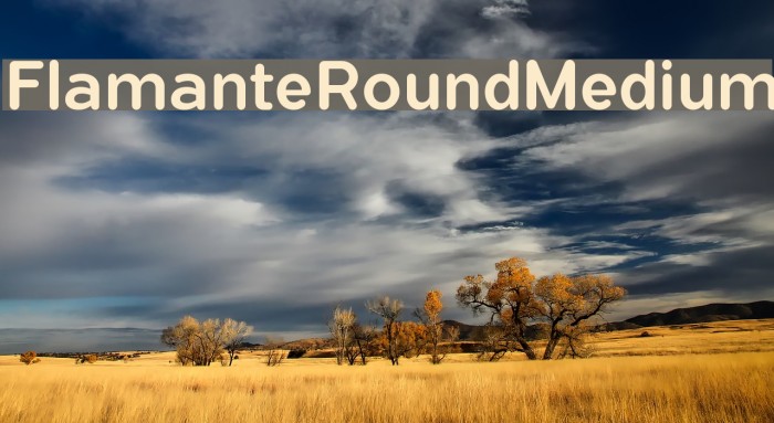 FlamanteRoundMedium Font examples