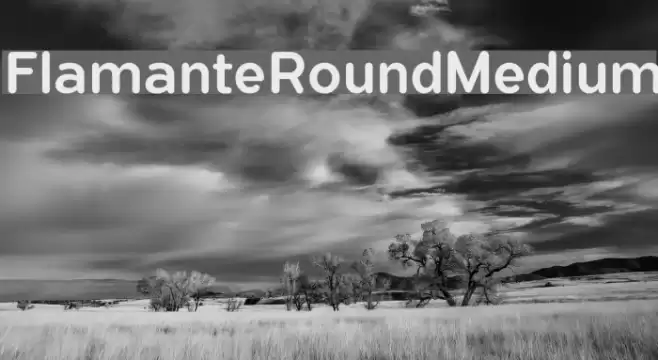 FlamanteRoundMedium Font examples