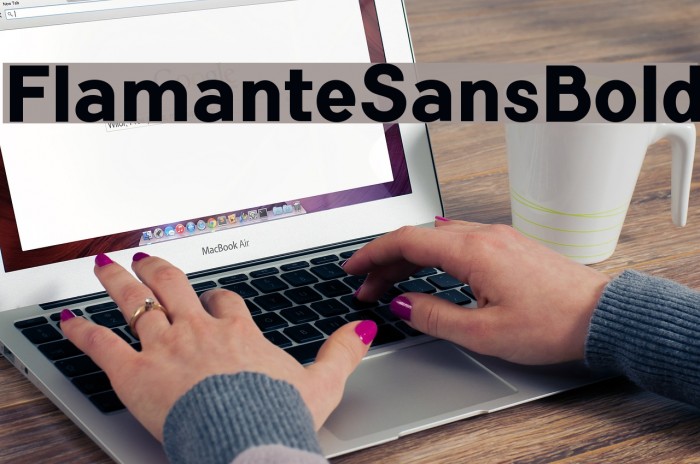 FlamanteSansBold Font examples