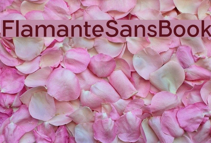 FlamanteSansBook Font examples